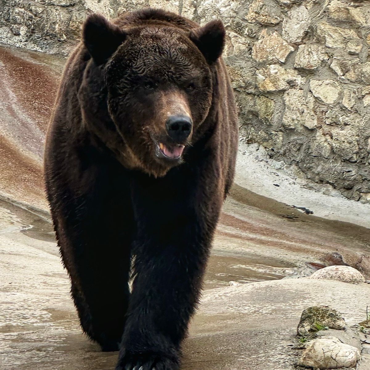 Михаил Караваев | Сетка — социальная сеть от hh.ru