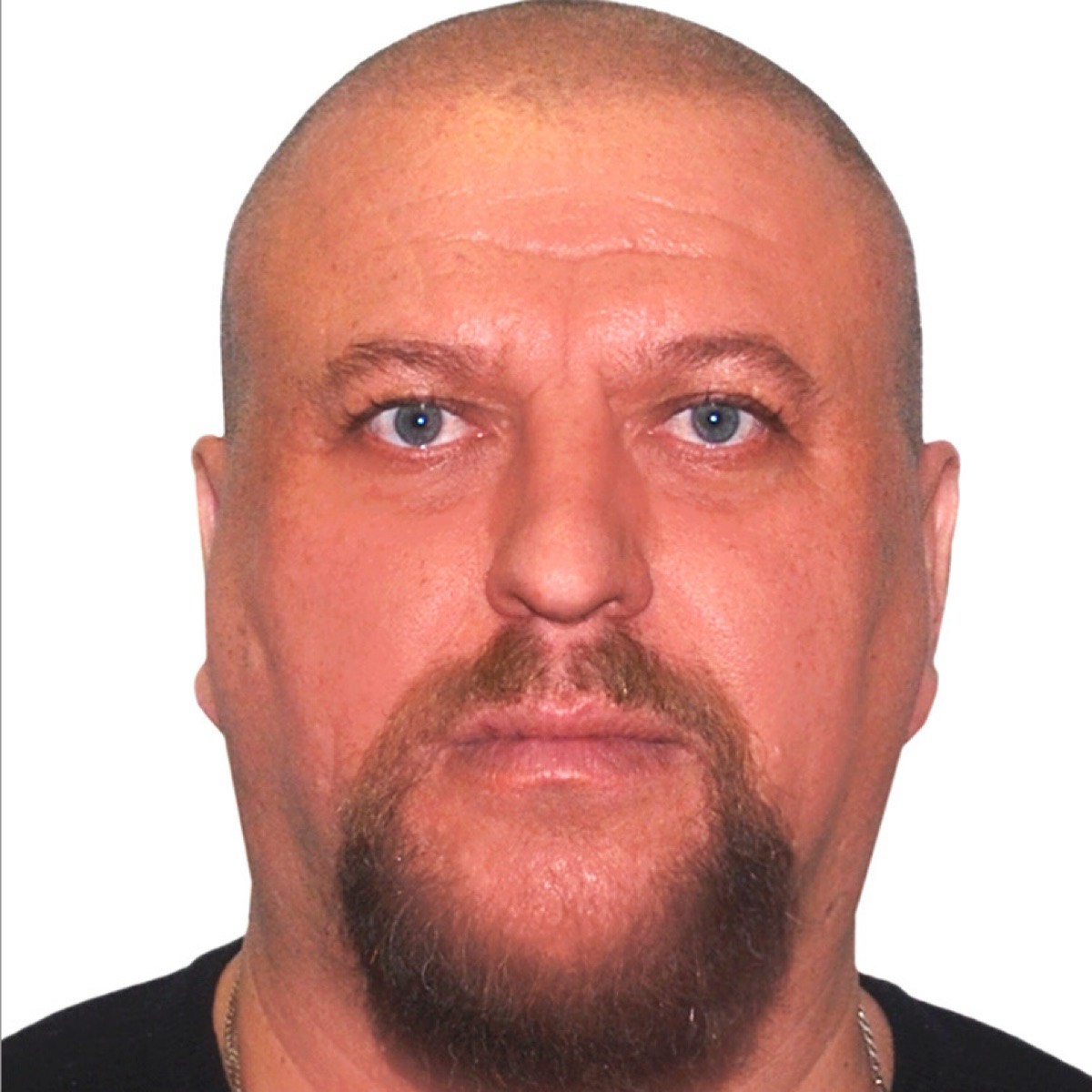 Николай Голобородько | Сетка — социальная сеть от hh.ru