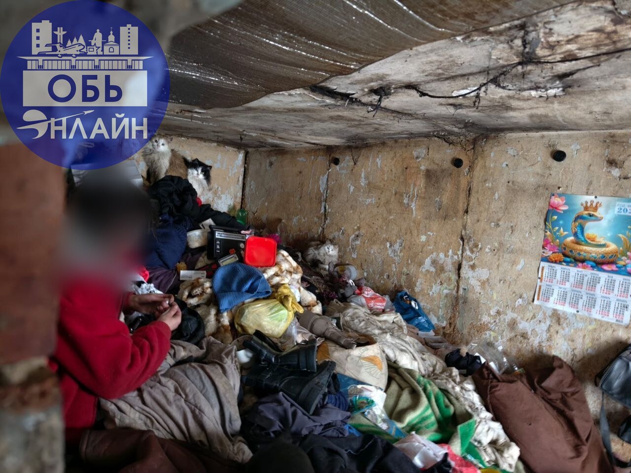 ↗ На ул. Шевченко в аварийном доме на трёх хозяев проживают граждане, имеющие склонность к собирательству | Сетка — социальная сеть от hh.ru