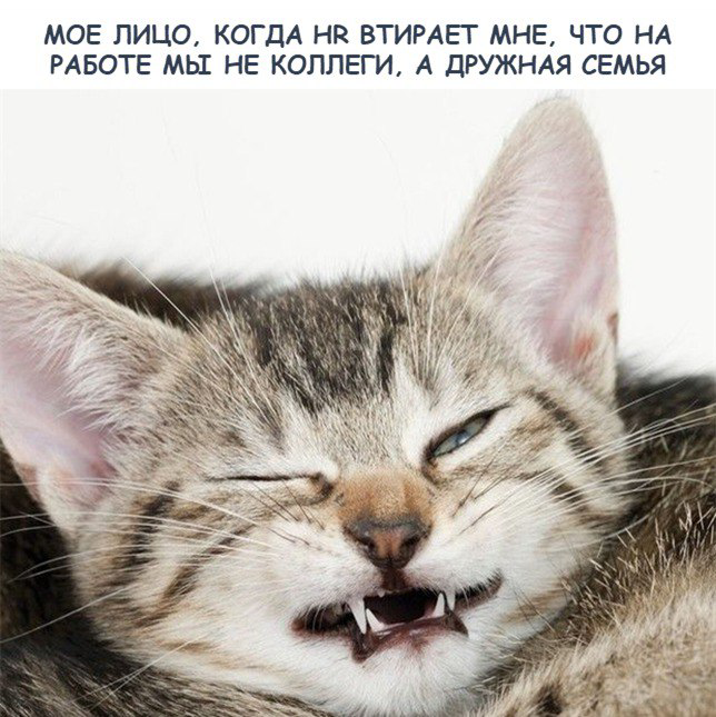 Статья: Сотрудники больше не верят в семью на работе? | Сетка — социальная сеть от hh.ru
