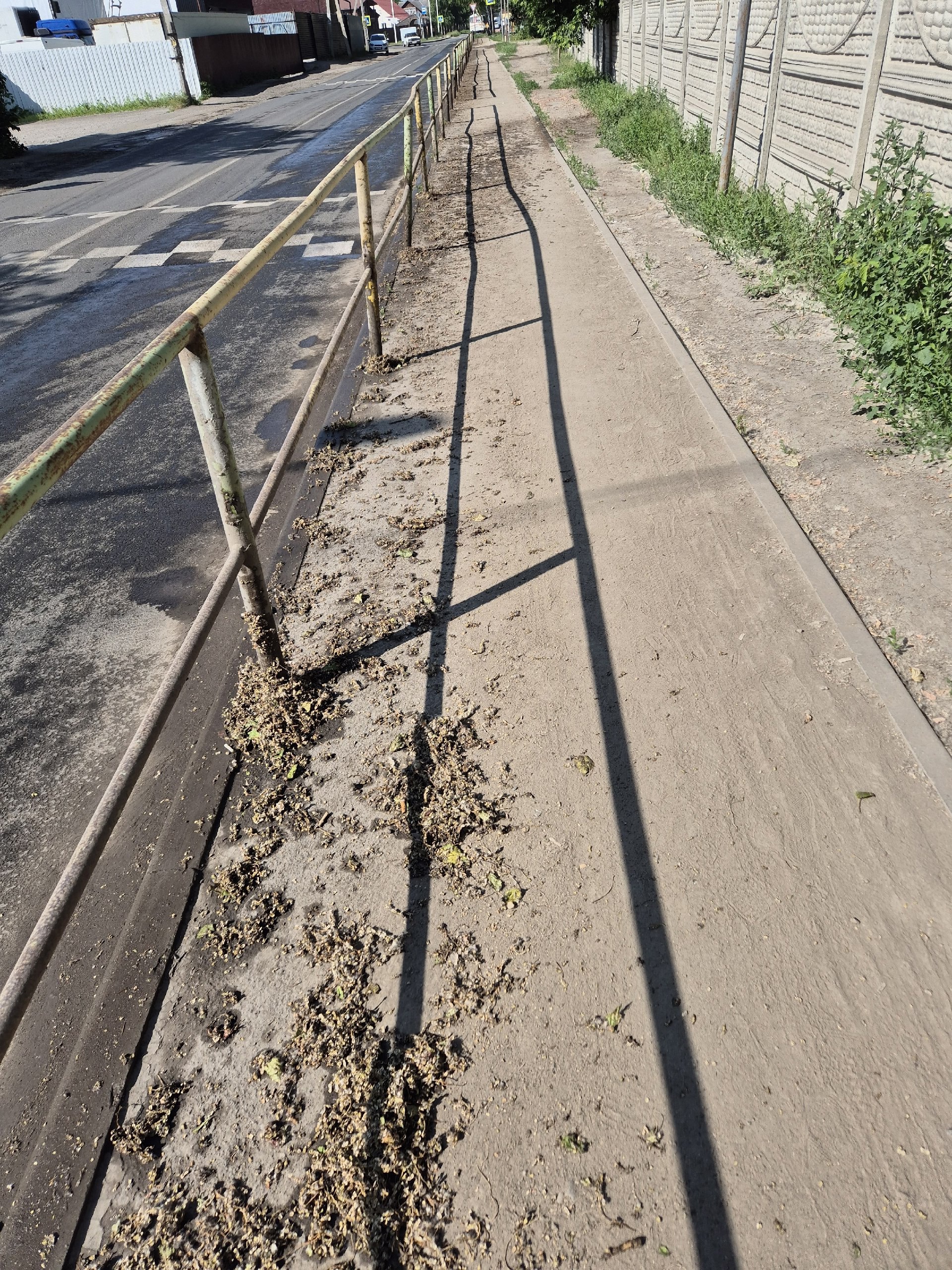 МКУ Городское хозяйство! Очень замечательно что вы сегодня промыли дорогу, и сбили грязь от поребрика. Но не до такой же степени, всё снести на тротуар | Сетка — социальная сеть от hh.ru