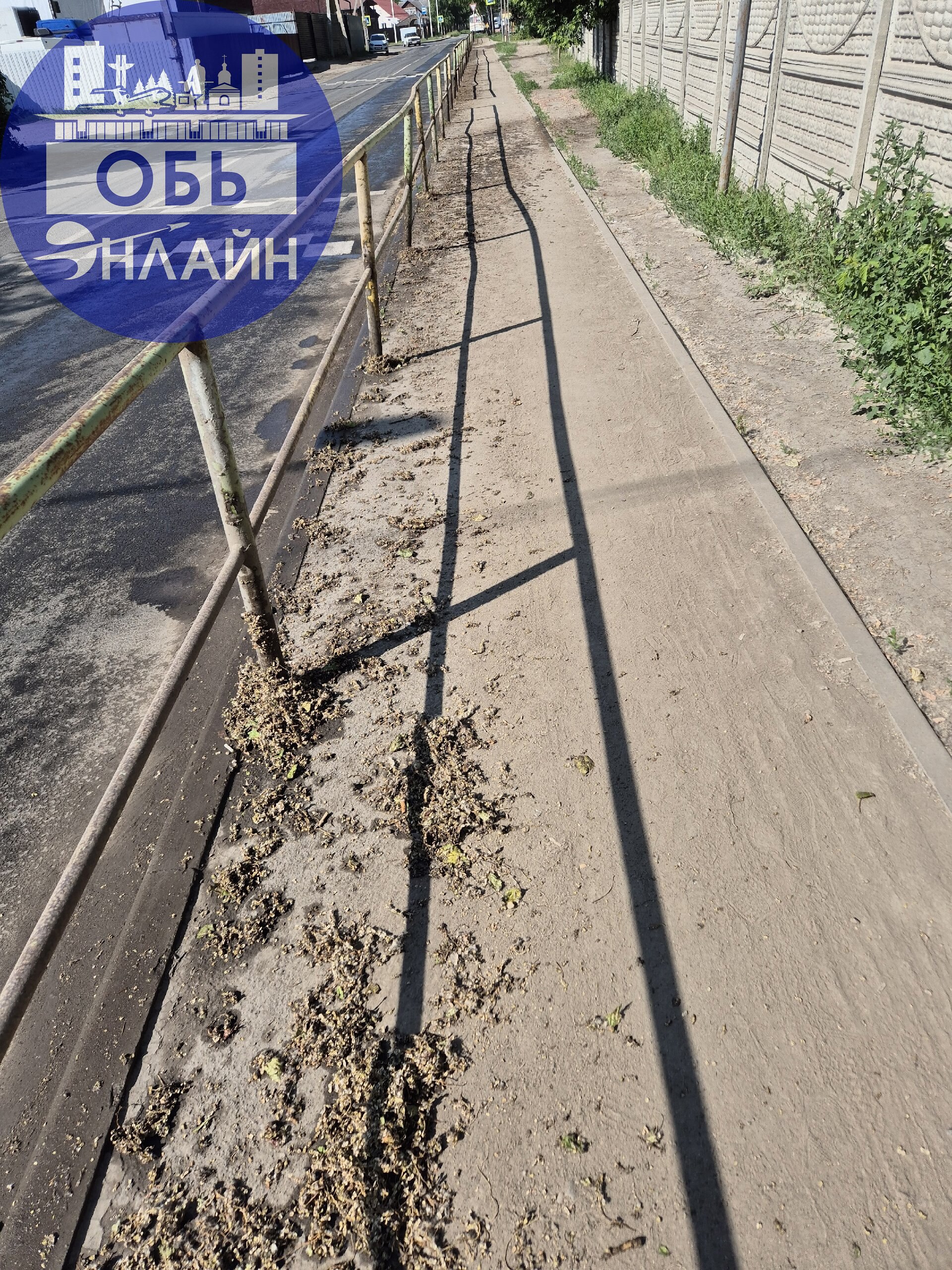↗ МКУ Городское хозяйство! Очень замечательно что вы сегодня промыли дорогу, и сбили грязь от поребрика. Но не до такой же степени, всё снести на тротуар | Сетка — социальная сеть от hh.ru