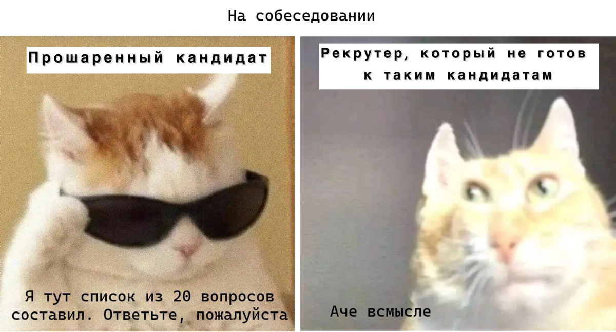 Что спросить у работодателя на интервью? | Сетка — социальная сеть от hh.ru