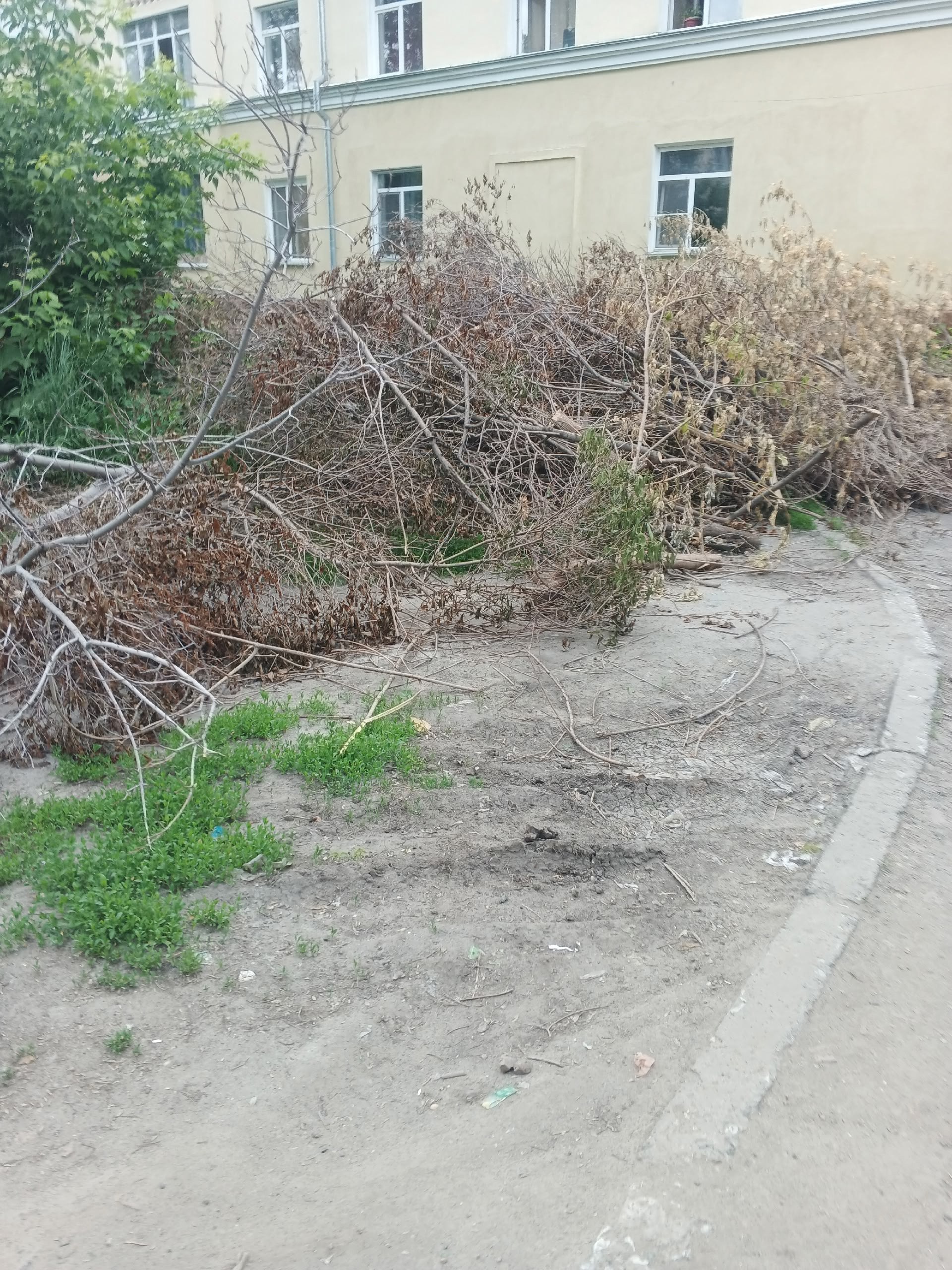 Попили деревья почти месяц назад. По завалили ими парковки.ни кто убирать не торопится!!!! Они уже высохли.
http://vk.com/ob.gorod?w=wall-100380192524064 | Сетка — социальная сеть от hh.ru