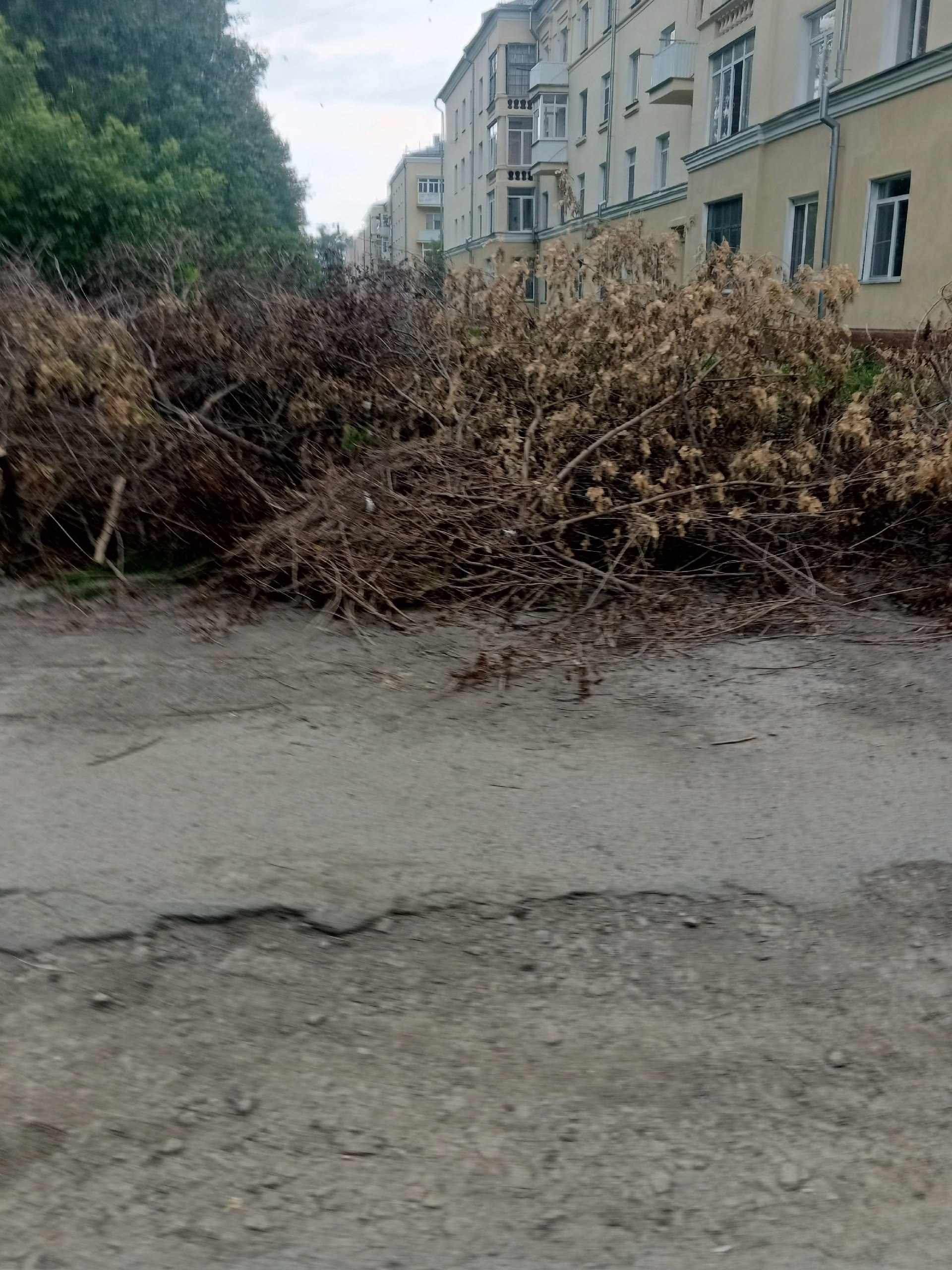 Попили деревья почти месяц назад. По завалили ими парковки.ни кто убирать не торопится!!!! Они уже высохли.
http://vk.com/ob.gorod?w=wall-100380192524064 | Сетка — социальная сеть от hh.ru