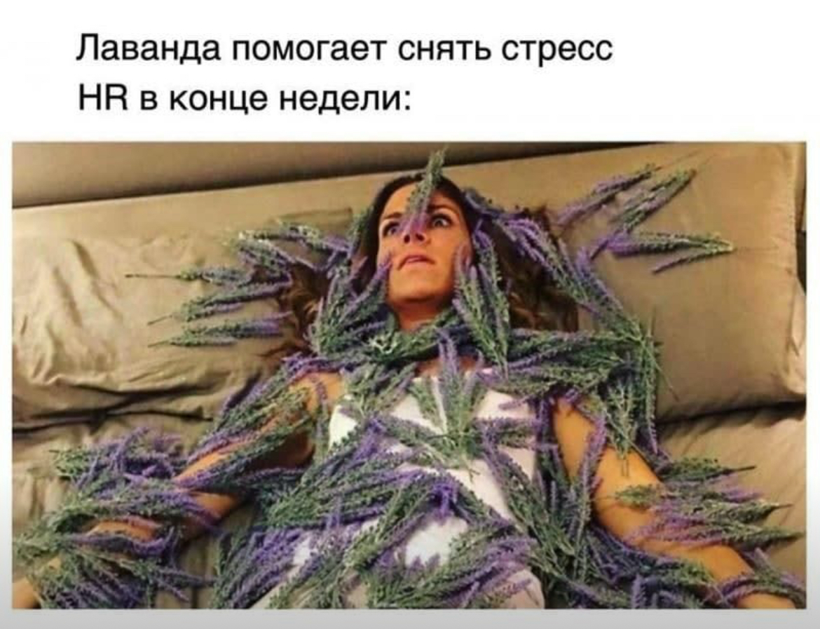 HRы, вы как там, держитесь? | Сетка — социальная сеть от hh.ru