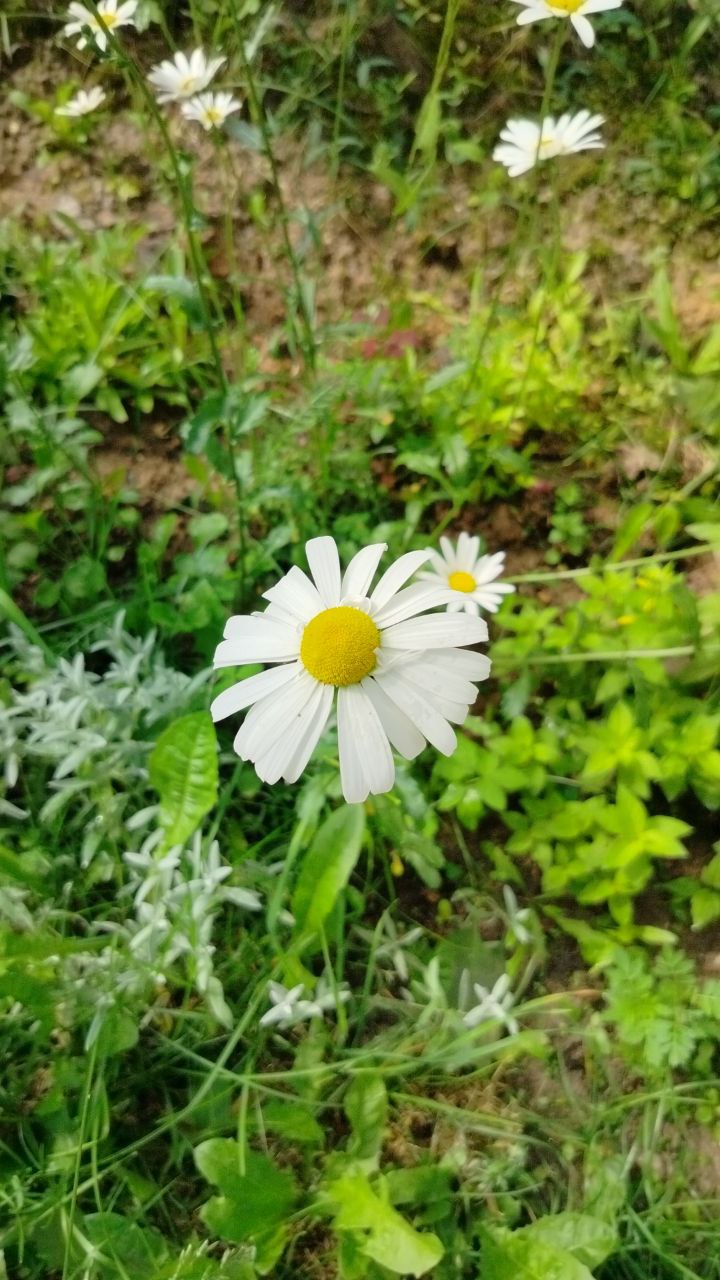 Доброе утро мои хорошие ❤️
Благодарю вас за то, что со мной 🙏
Пысы: каждый день захожу с волнением в свой канал, очень переживаю когда отписки😔, и благодарю каждого кто здесь ❤️❤️❤️🕊️ | Сетка — социальная сеть от hh.ru