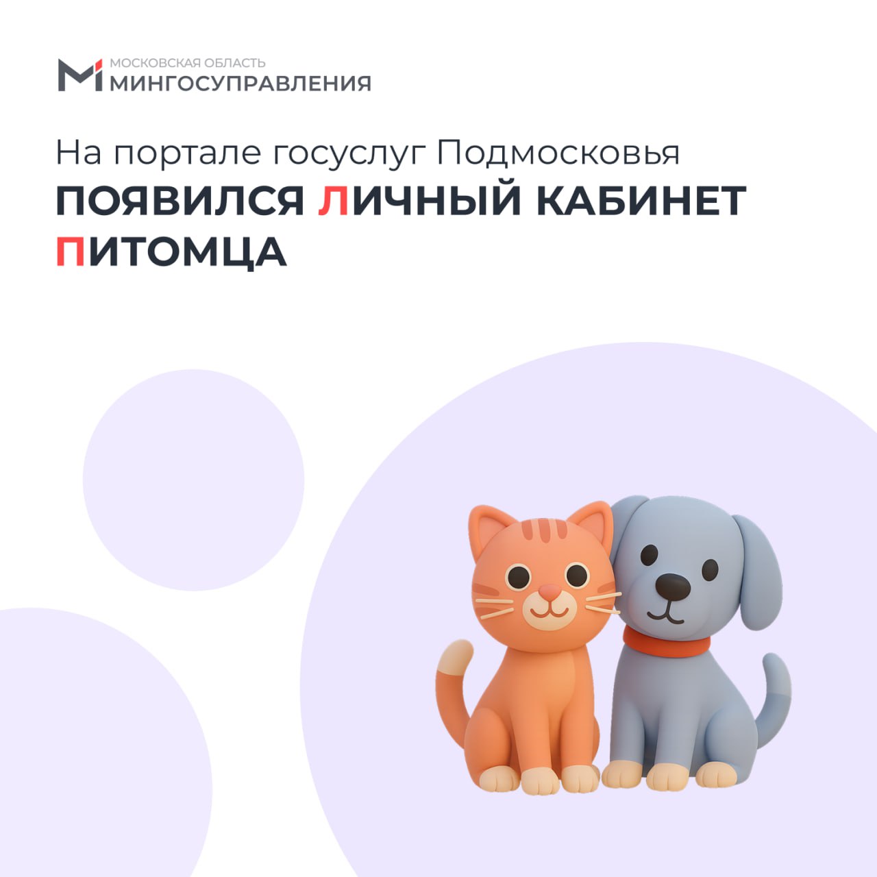 🐾 Забота о питомцах стала ещё удобнее
Теперь в личном кабинете портала госуслуг Подмосковья появился новый раздел «Питомцы» – удобный помощник для заботы о пушистых любимцах
☝️ Он содержит данные о до... | Сетка — социальная сеть от hh.ru