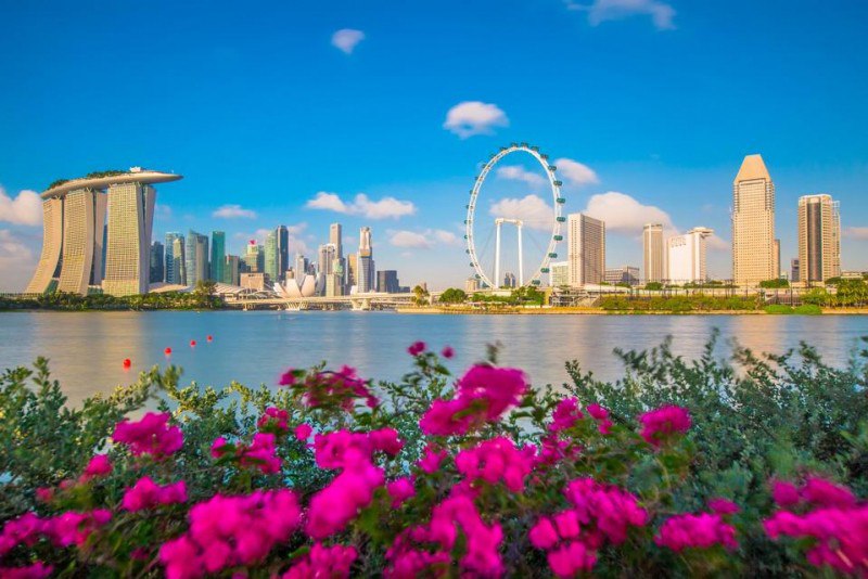 Singapore’s Marina Bay
Discover Singapore’s Marina Bay – A Family-Friendly Paradise
Singapore’s Marina Bay is famous for its modern architecture and innovative attractions | Сетка — социальная сеть от hh.ru