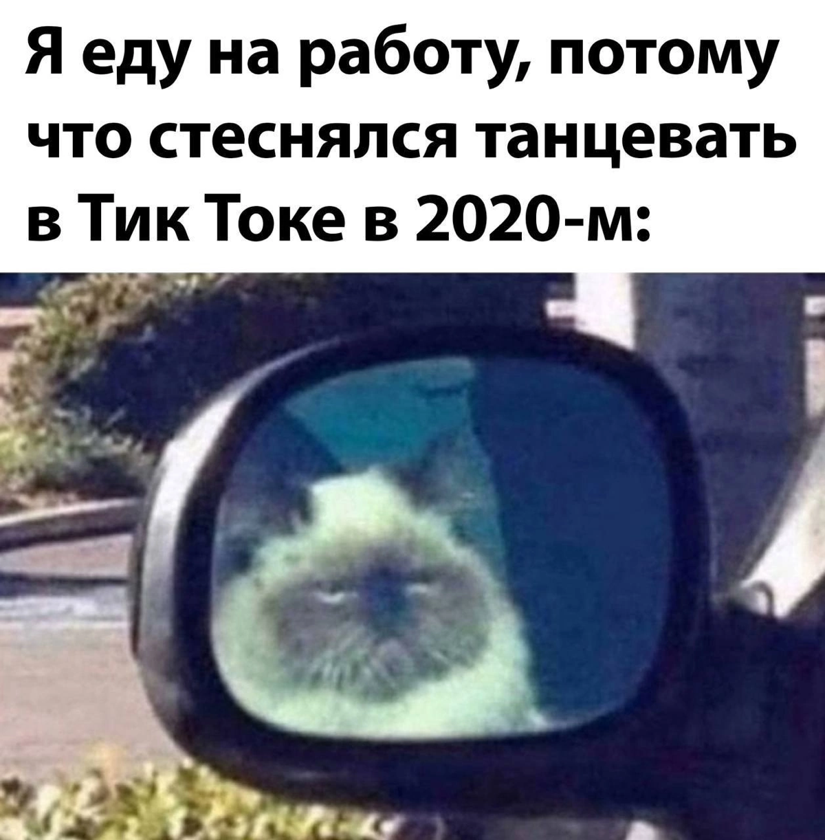 Чисто я. А могла бы с сыном тикитоки снимать😄 | Сетка — социальная сеть от hh.ru