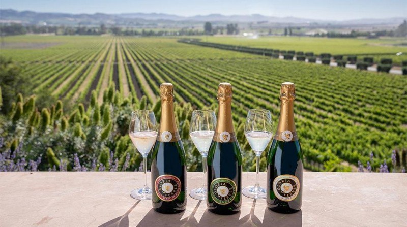 Wine Houses In Northern California
Sure! Here’s a simplified and more engaging version of your text with highlighted keywords and an inviting tone:

Cheers to Gloria Ferrer – one of our favorite spark... | Сетка — социальная сеть от hh.ru