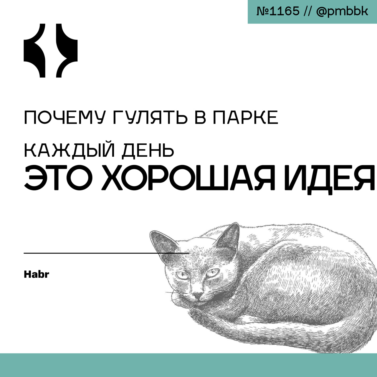 🌳 Почему гулять в парке каждый день - это хорошая идея"Кажется, я не выходил из дома неделю" или "Мои прогулки - до пункта выдачи заказов и обратно" - знакомо? Эти шутки вовсе не шутки для многих, кто... | Сетка — социальная сеть от hh.ru