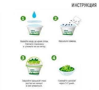 Поддержать канал и развитие Сити Фермы LadyMari 🌺 MicroGreens: задонатить на мечту 🌱  
Сбербанк: 2202 2083 8549 1973  
Привет 👋  
Секретки от LadyMari 🌺  
Хочешь попробовать выращивать микрозелень дом... | Сетка — социальная сеть от hh.ru