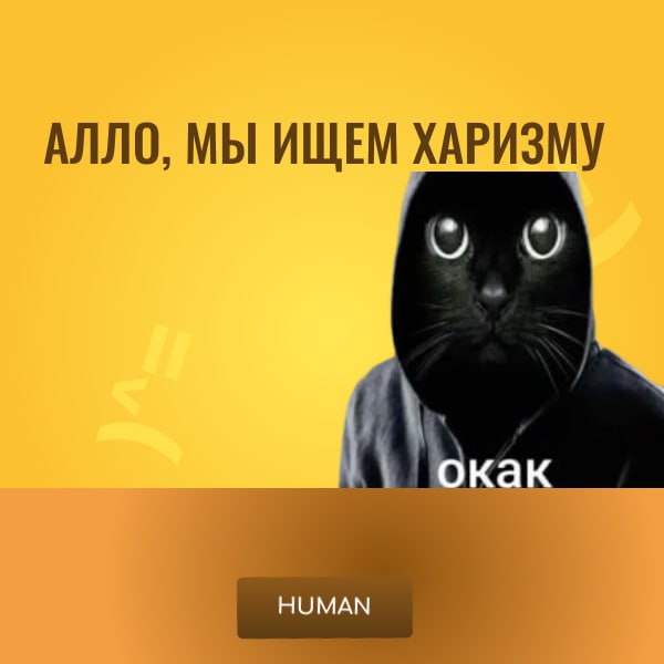 😮😮😮ХАРИЗМА В КАДРЕ — В СТИКЕР!😎
Мы тут подумали… Сколько у вас на телефоне лежит фоток коллег, питомцев или самих себя, где кто-то:
— яростно объясняет что-то на митинге?
— вскидывает бровь на резюме ... | Сетка — социальная сеть от hh.ru