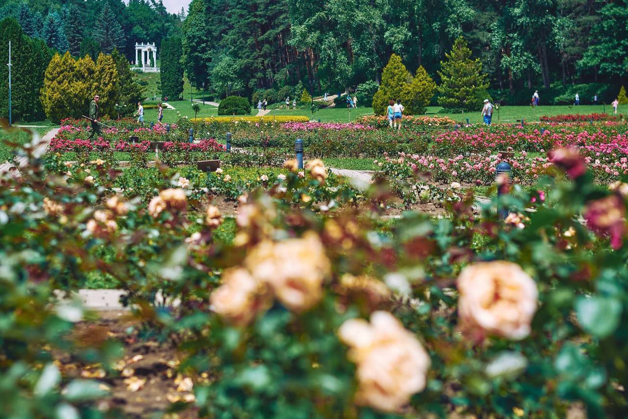 Долина Роз в Кисловодске
📷 Константин Кордонский
Ставьте ❤️, если хотите прогуляться возле таких красот | Сетка — социальная сеть от hh.ru