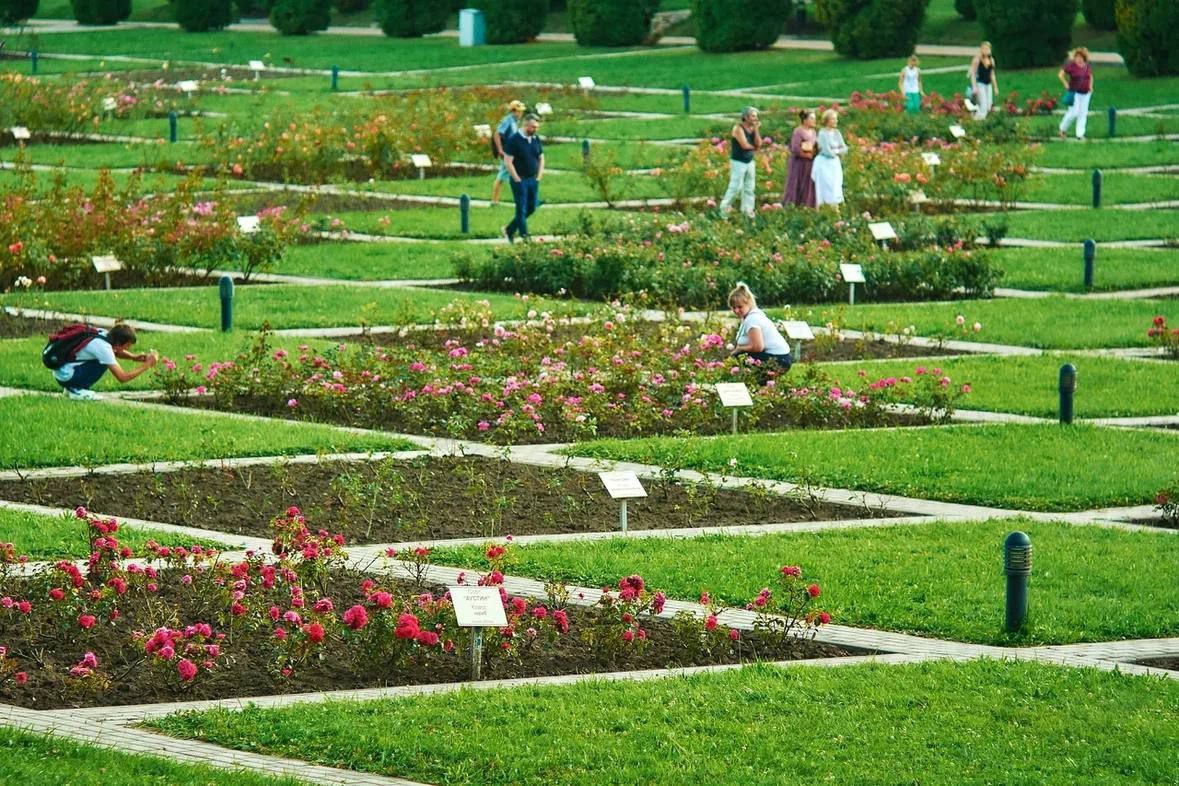 Долина Роз в Кисловодске
📷 Константин Кордонский
Ставьте ❤️, если хотите прогуляться возле таких красот | Сетка — социальная сеть от hh.ru