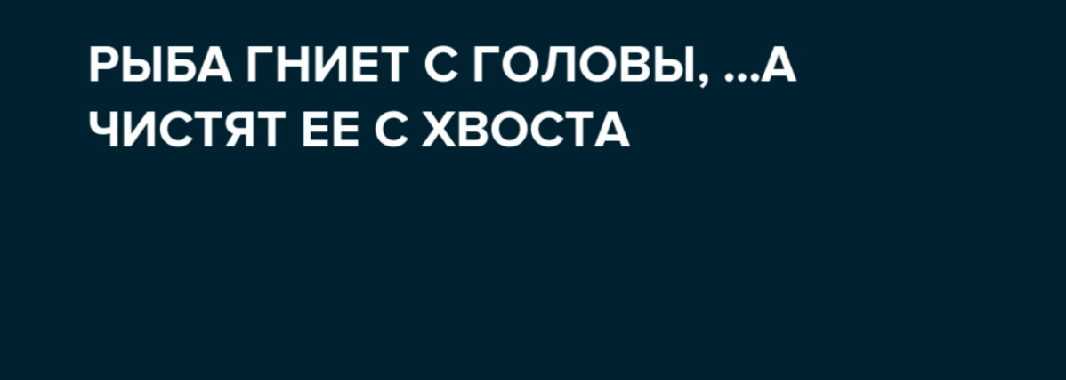 Рыба, гниет с головы, гласит пословица. | Сетка — социальная сеть от hh.ru
