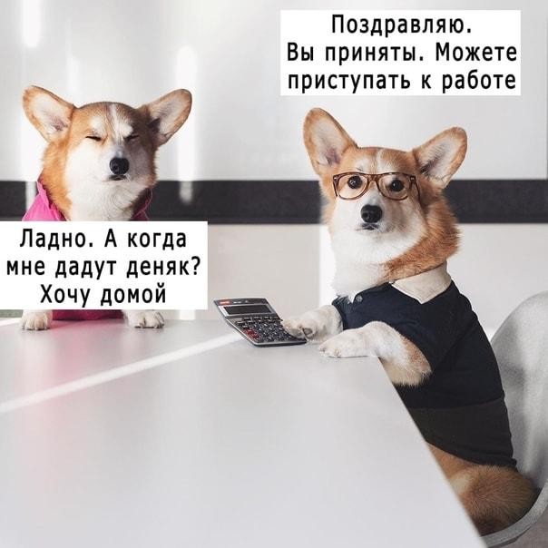 По чем себя продашь? Часть1 | Сетка — социальная сеть от hh.ru