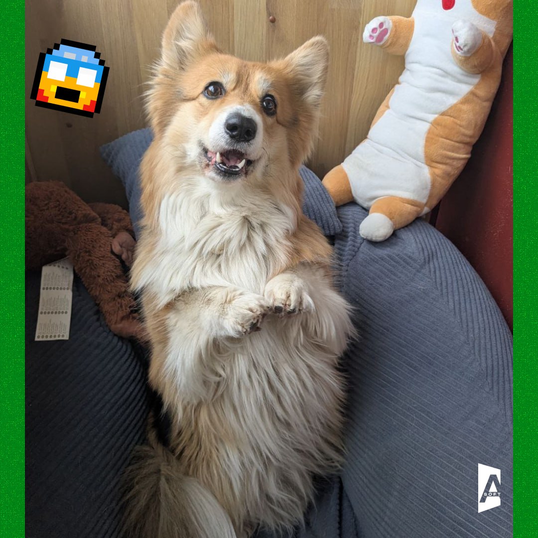 #Зверопятница: знакомьтесь, наши пушистые антистрессы! 🐶
Каждую пятницу показываем вам неофициальных, но самых важных сотрудников | Сетка — социальная сеть от hh.ru