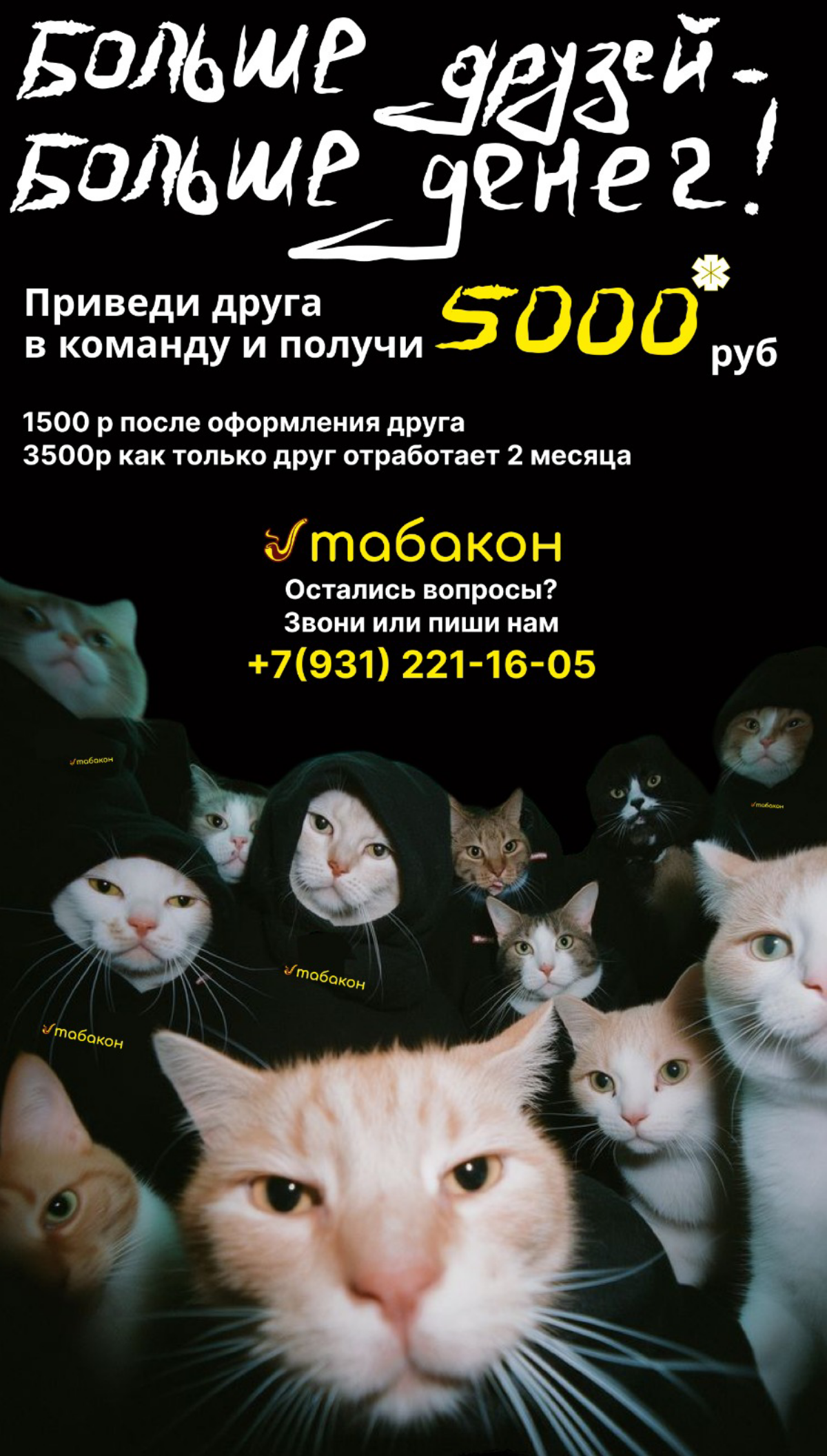 Котики в деле: креативные методы привлечения сотрудников🐱 | Сетка — социальная сеть от hh.ru