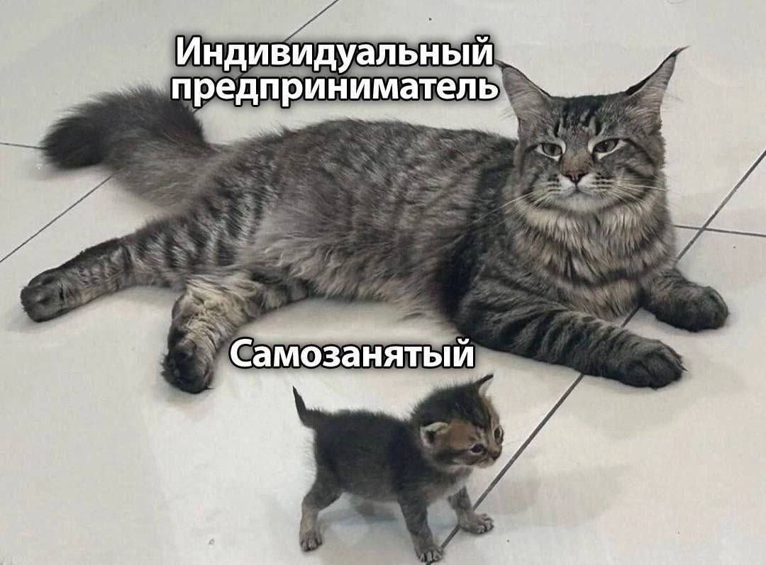 Парни, кто со второй работой? | Сетка — социальная сеть от hh.ru