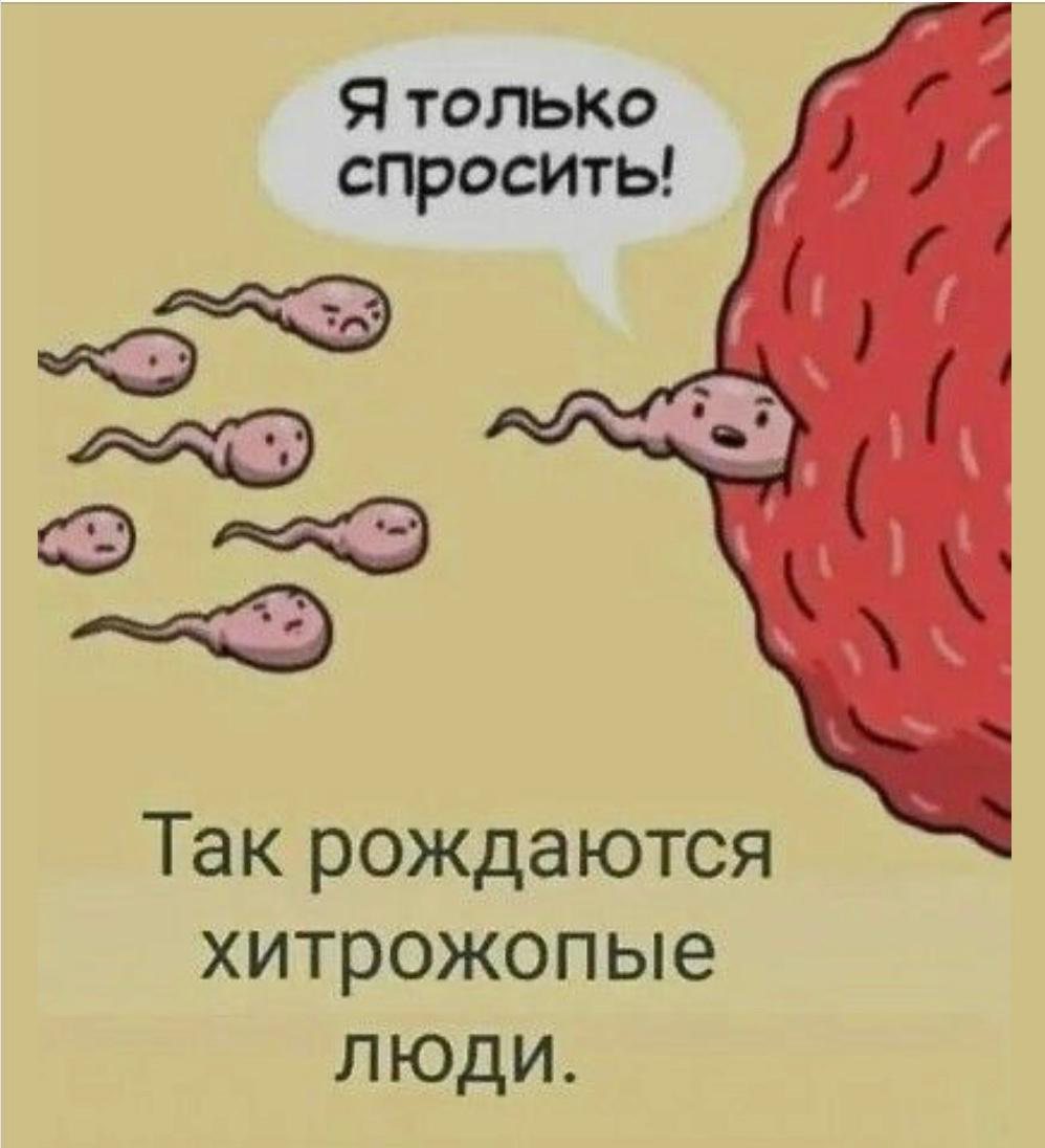 Сетка — социальная сеть от hh.ru