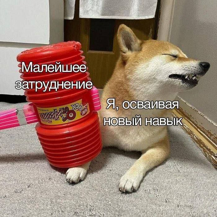 Про хорошо и плохо | Сетка — социальная сеть от hh.ru