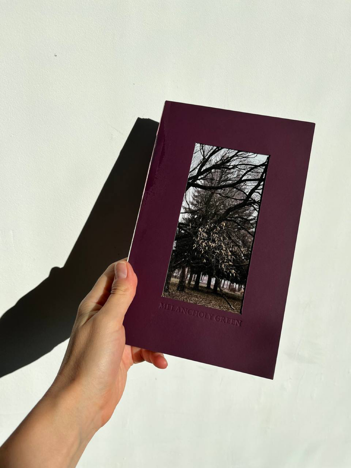 Знакомство :) | Сетка — социальная сеть от hh.ru