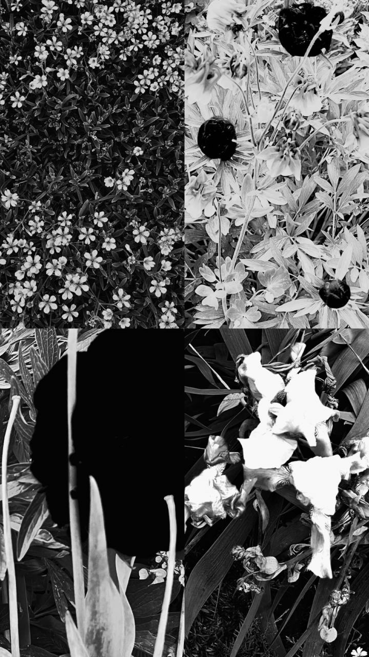 Знакомство :) | Сетка — социальная сеть от hh.ru