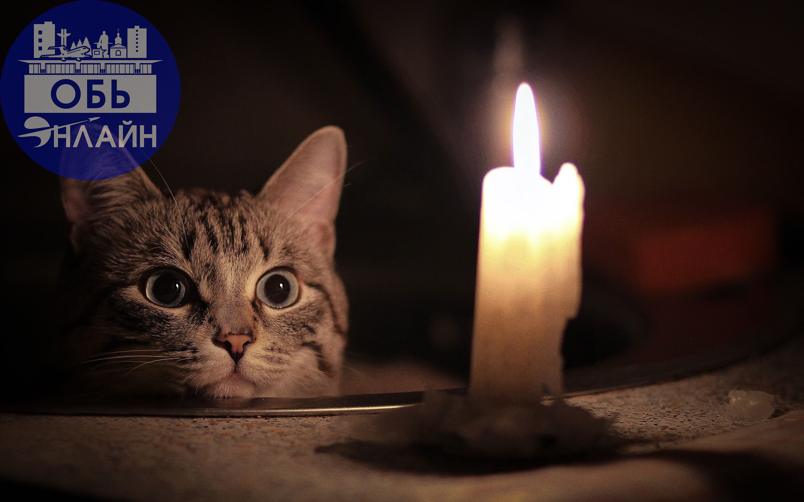 ↗ РЭС где свет?!!!! С 9 утра Котельная, Степная, и улицы в сторону Павино сидим без света. С утра сказали 3-4 часа | Сетка — социальная сеть от hh.ru