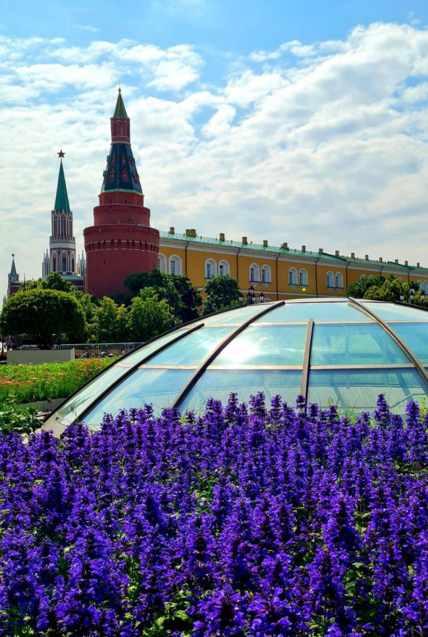 Красота на Манежной площади🪻
📲Подпишитесь на Вдвижении | Сетка — социальная сеть от hh.ru