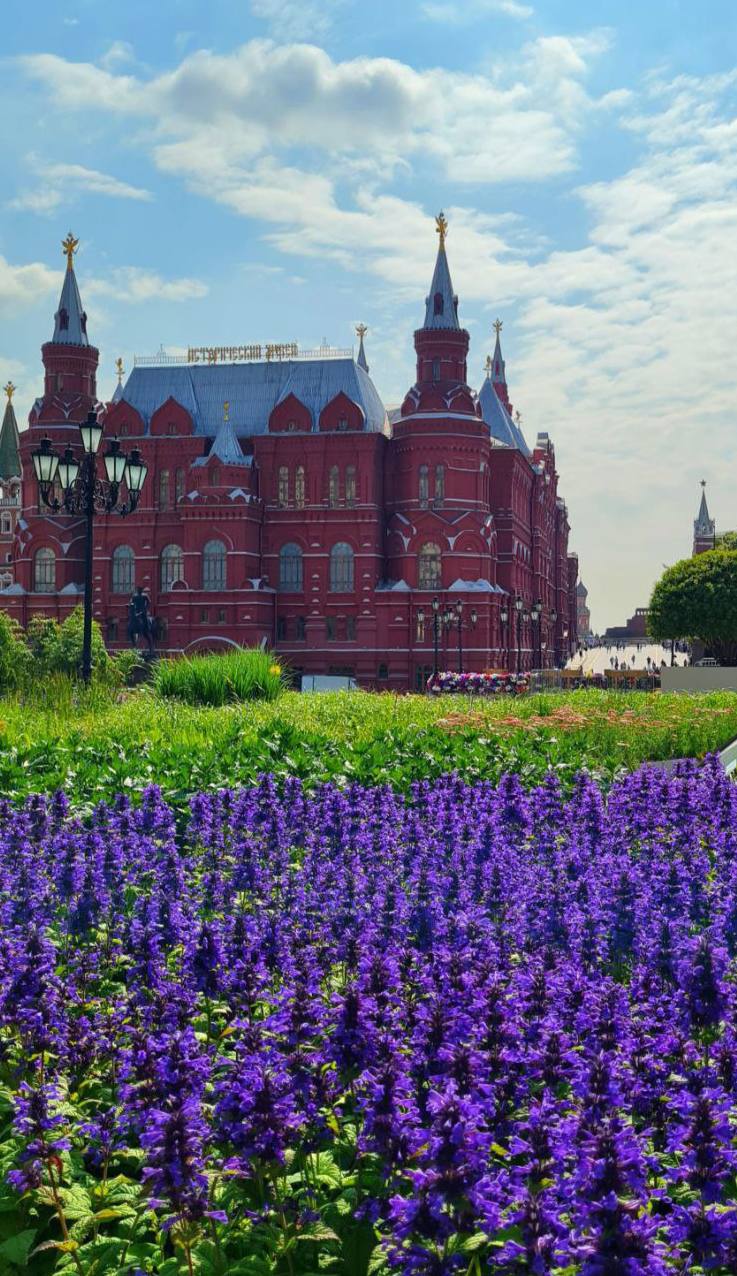 Красота на Манежной площади🪻
📲Подпишитесь на Вдвижении | Сетка — социальная сеть от hh.ru