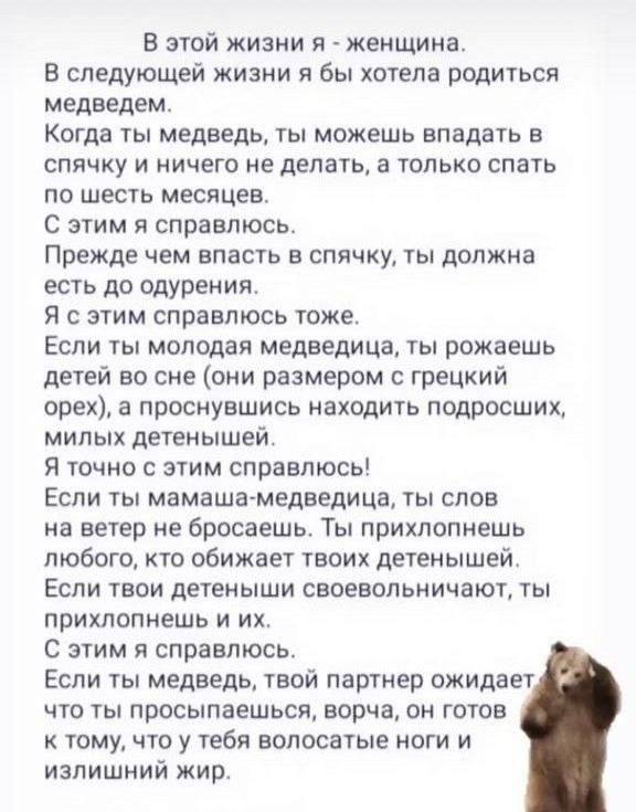 Я справлюсь!! 🐻 | Сетка — социальная сеть от hh.ru