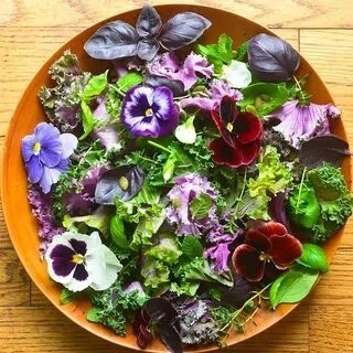Привет с вами снова LadyMari ❤️
🌿 Вы не поверите, но существует как минимум 34 вида цветов, которые можно кушать! 🤯
Да-да, вы не ослышались! Цветы – это не только красиво, но и вкусно! 😋
Например, кал... | Сетка — социальная сеть от hh.ru
