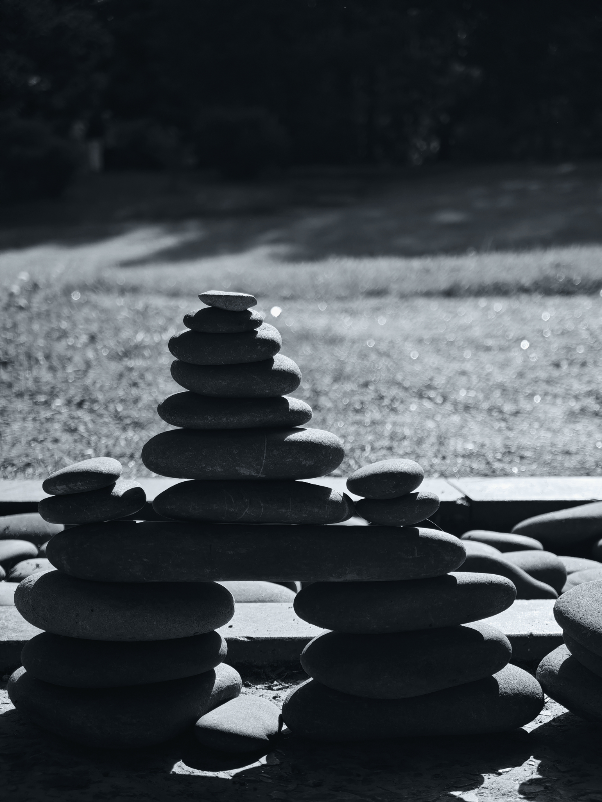 Дзен в работе: Где найти гармонию в команде? 🍃 | Сетка — социальная сеть от hh.ru