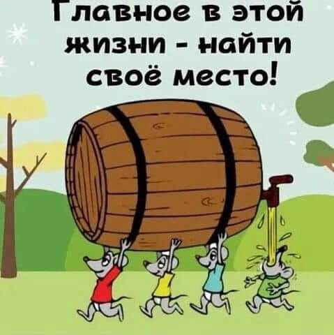 Что значит найти свое место в жизни? | Сетка — социальная сеть от hh.ru