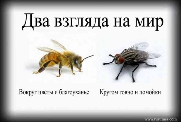 Выбирай как будем жить | Сетка — социальная сеть от hh.ru