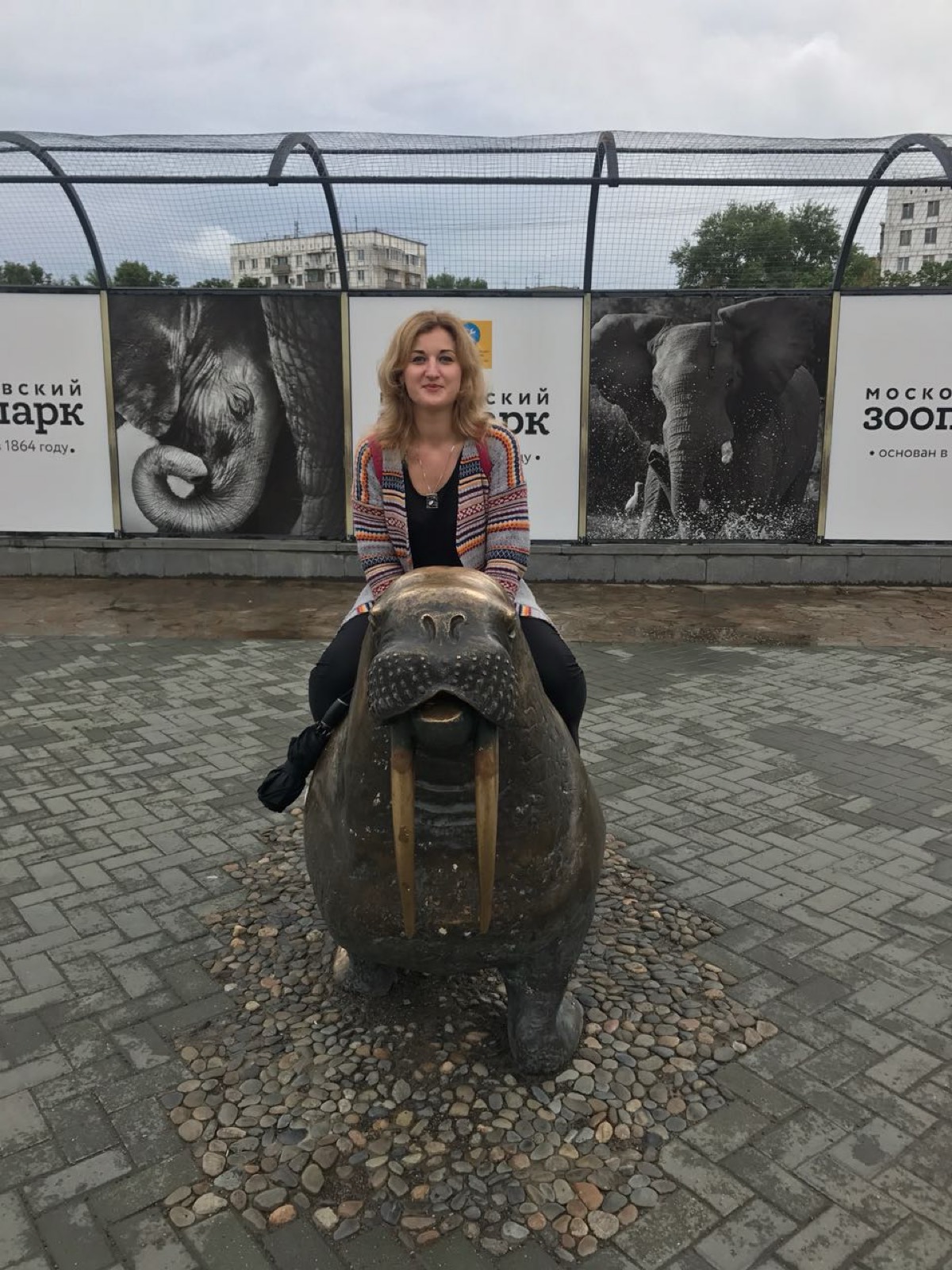 Валерия Арабаджи | Сетка — социальная сеть от hh.ru