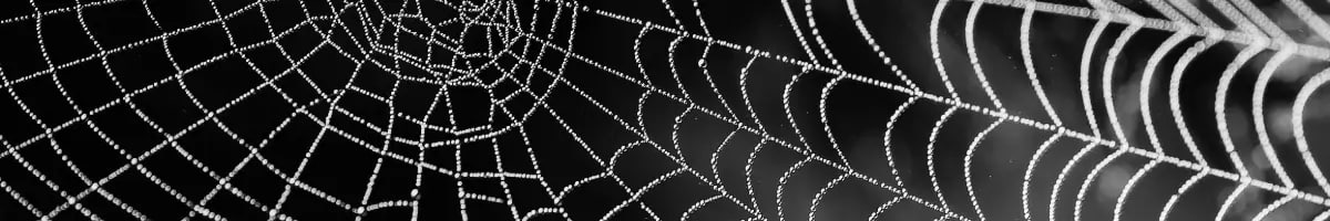 A guide to modern Kubernetes network policies
https://www.buoyant.io/blog/a-guide-to-modern-kubernetes-network-policies | Сетка — социальная сеть от hh.ru