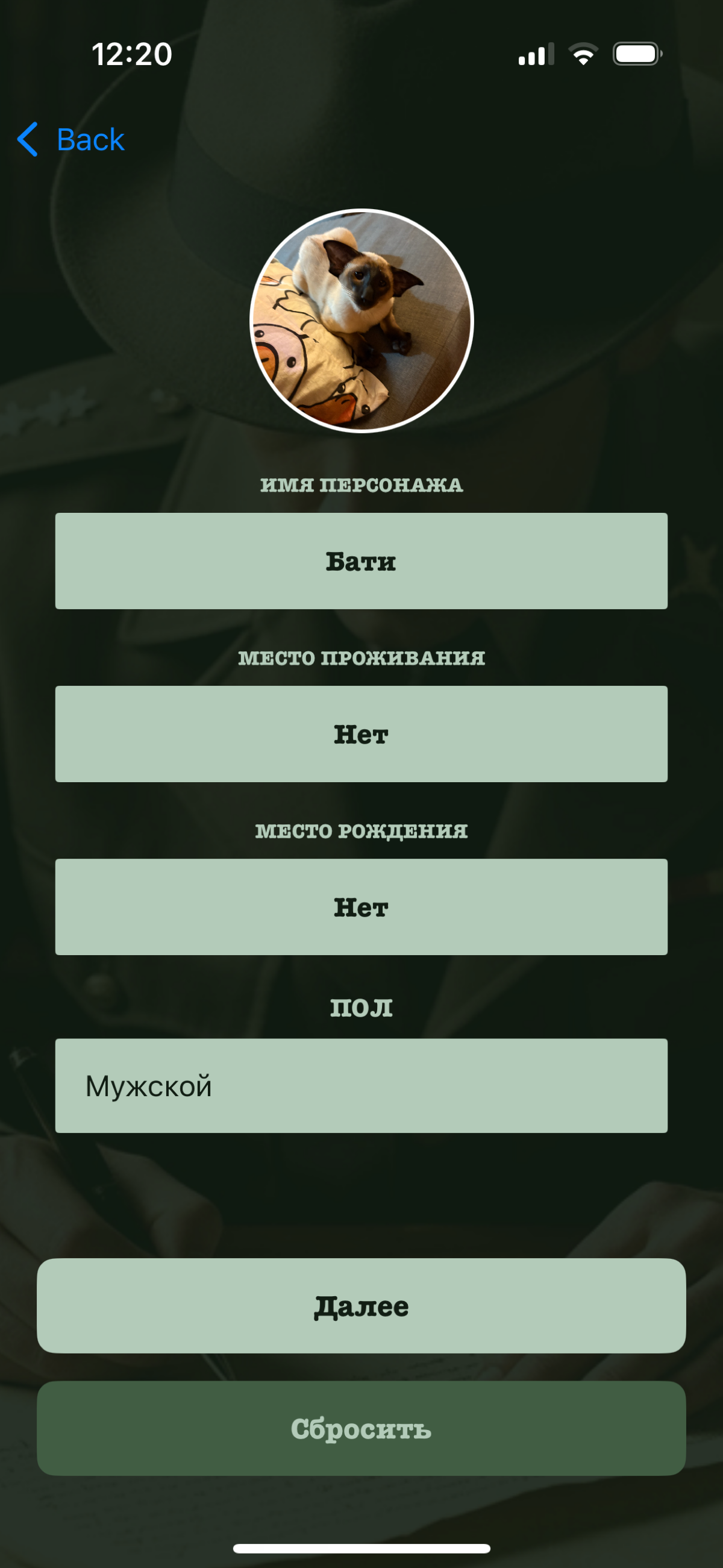Прогресс создания моего приложения и отсутствие дизайна 🥲 | Сетка — социальная сеть от hh.ru