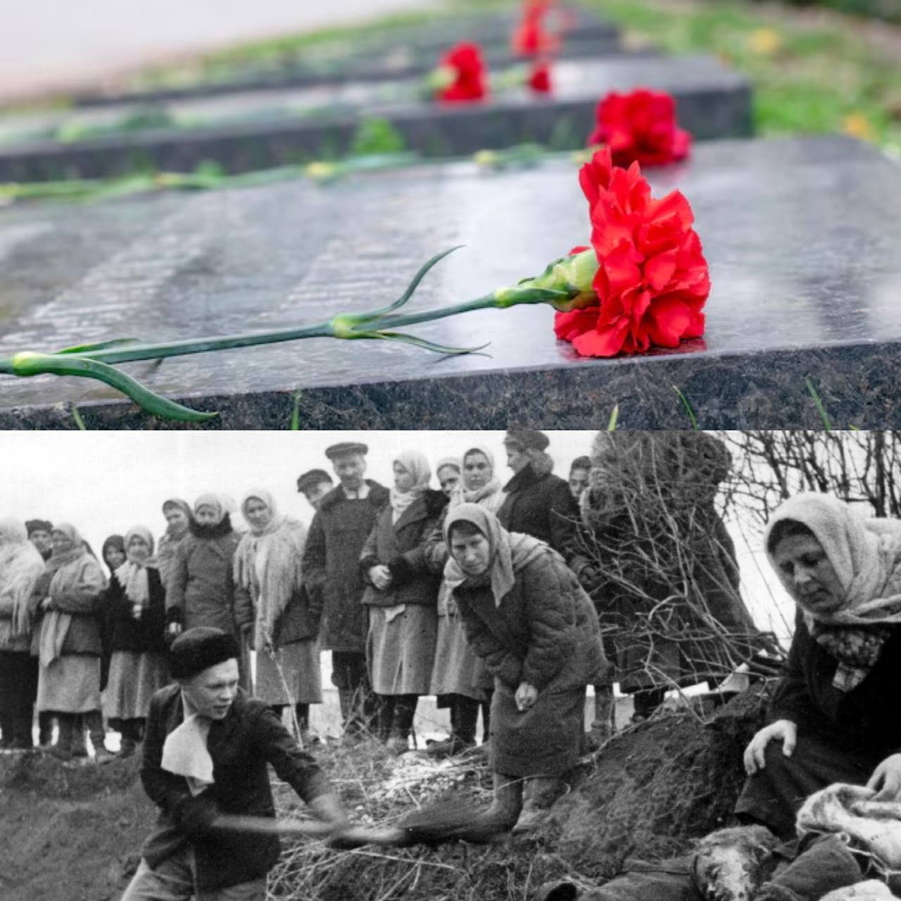 👍 Важные уроки истории
22 июня для Ставрополья не только день скорби, но и глубокой памяти | Сетка — социальная сеть от hh.ru