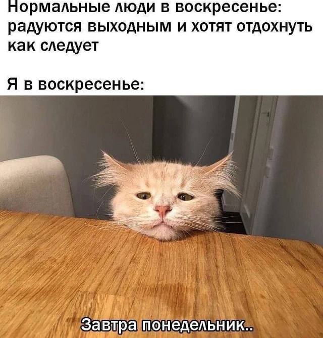 Рубрика «воскресные размышления»🥲 | Сетка — социальная сеть от hh.ru
