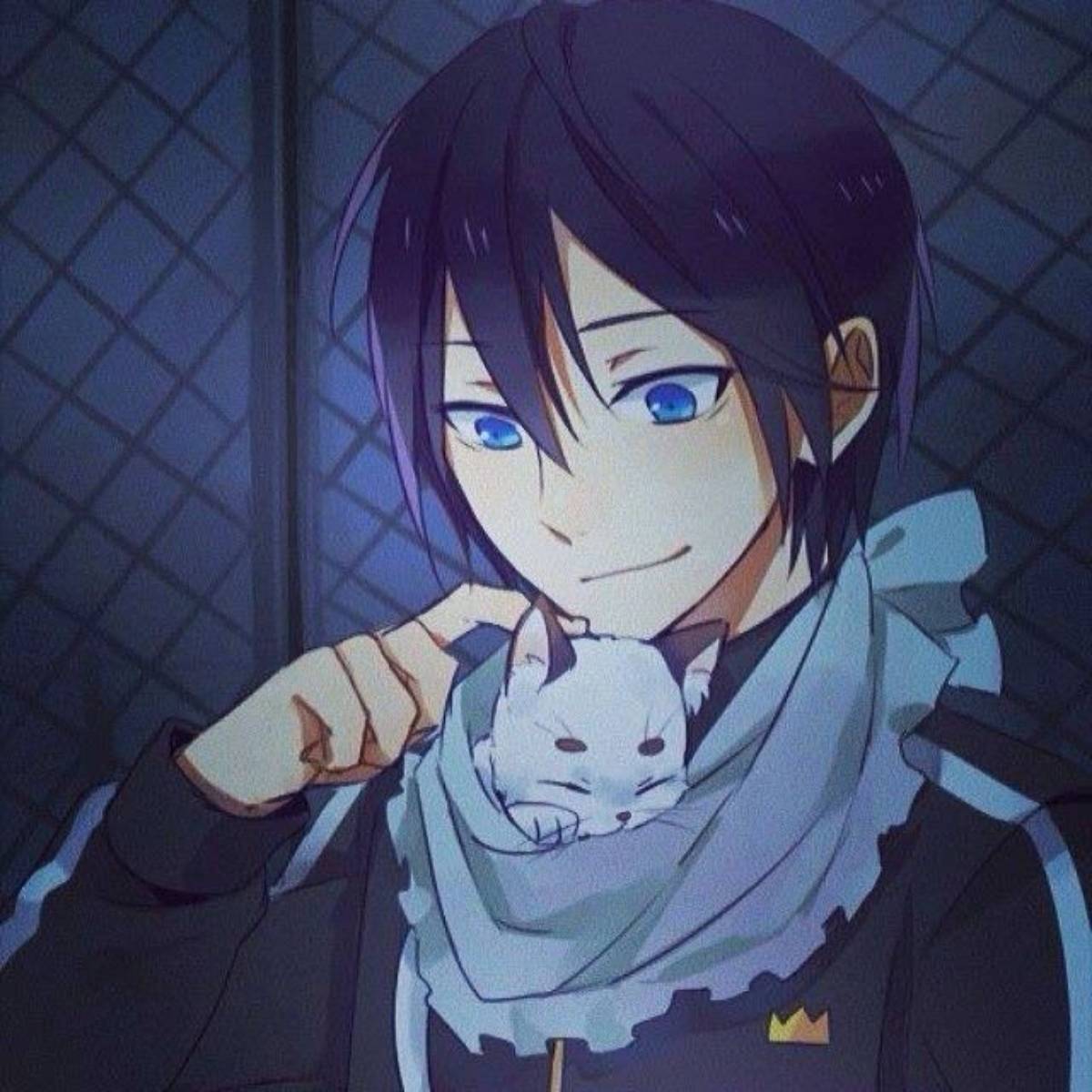 Виктор Крикунов | Сетка — социальная сеть от hh.ru