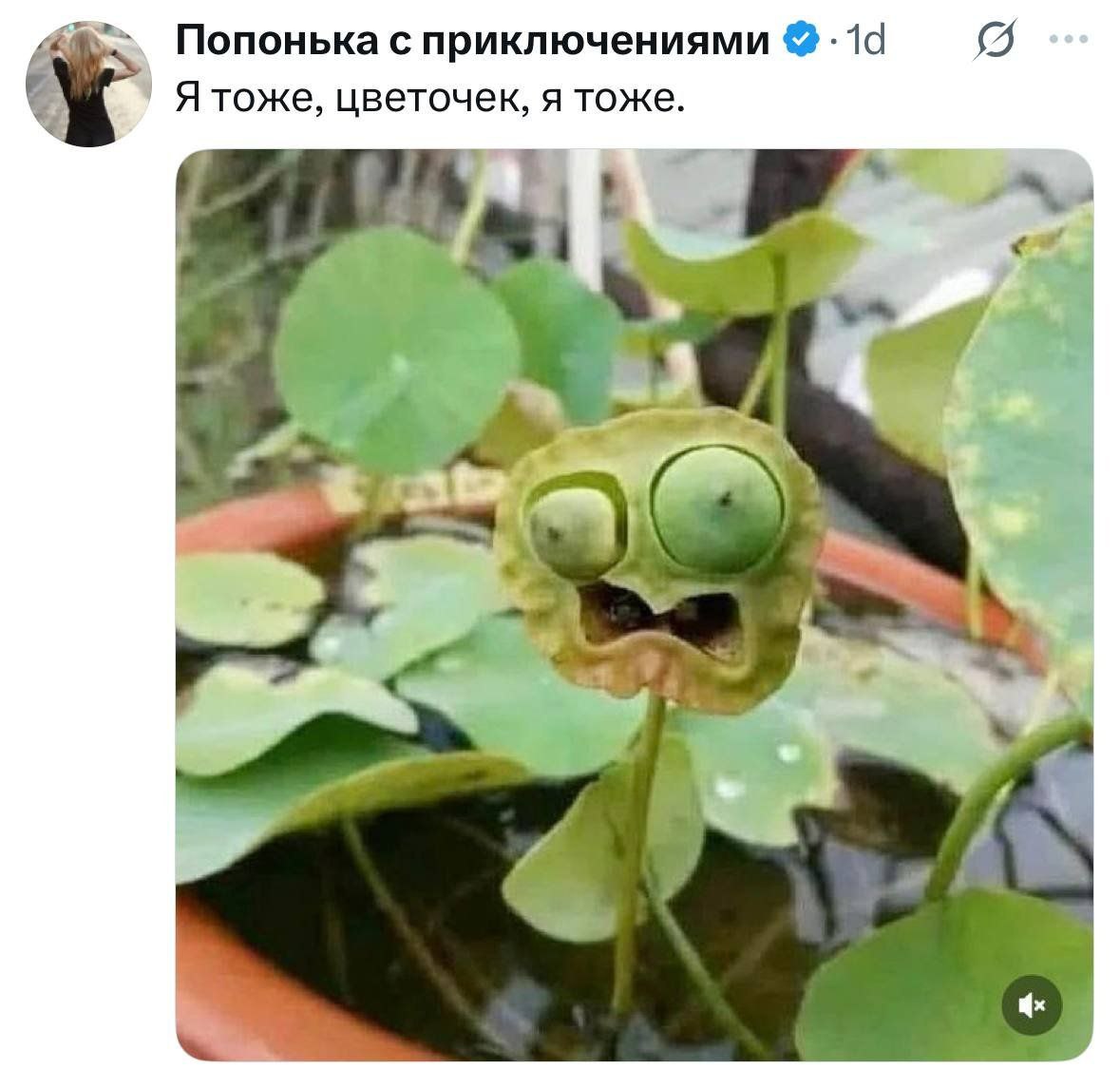 Сборы в офис в понедельник 👍 | Сетка — социальная сеть от hh.ru