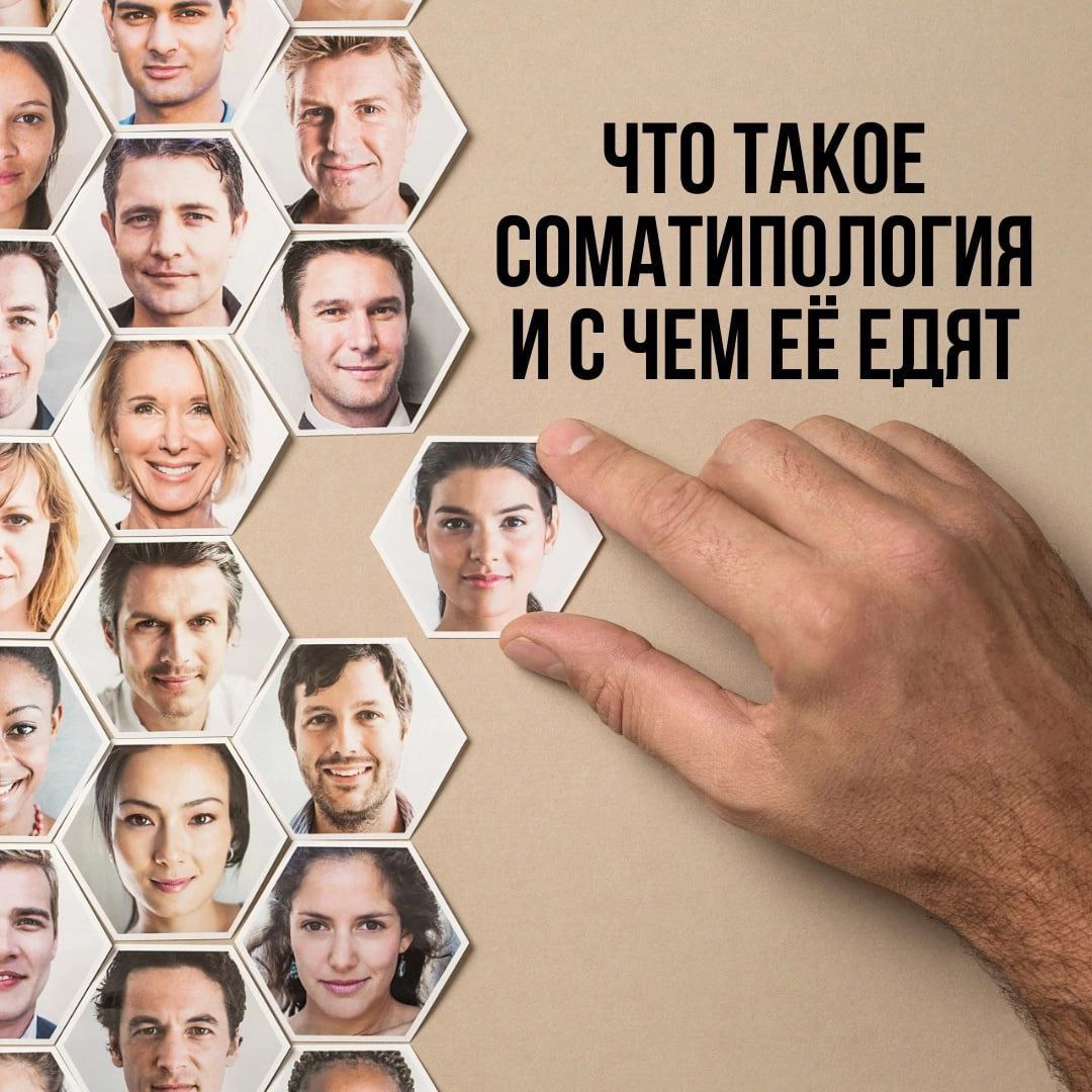 Что такое Соматипология | Сетка — социальная сеть от hh.ru