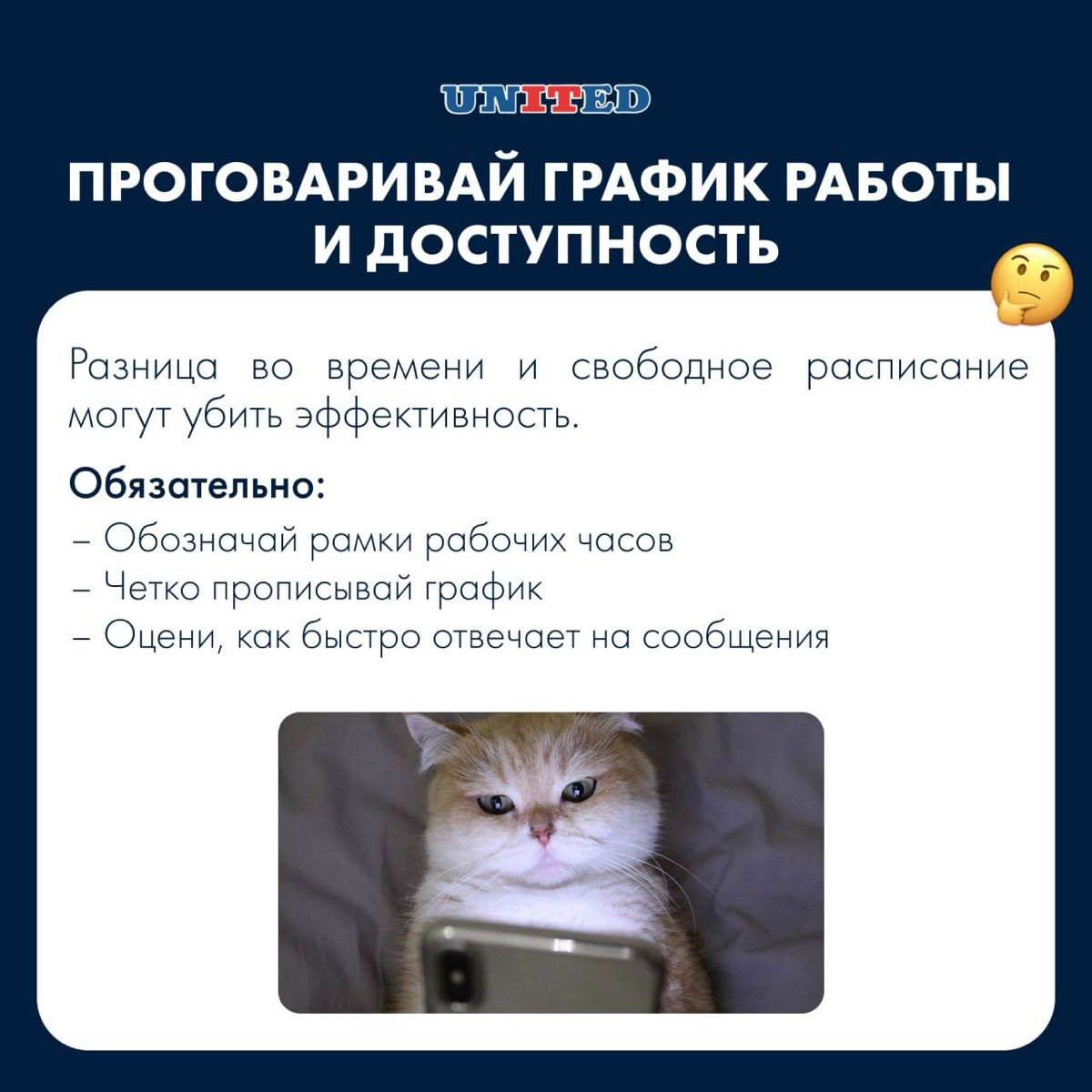 Как собрать команду на удаленку? | Сетка — социальная сеть от hh.ru
