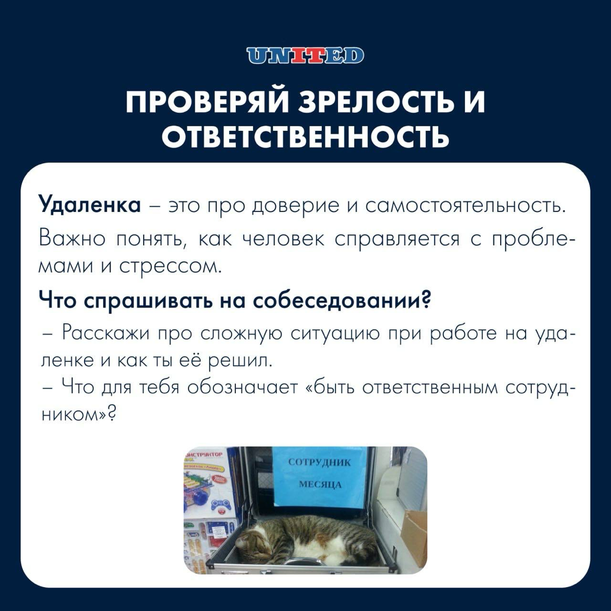 Как собрать команду на удаленку? | Сетка — социальная сеть от hh.ru