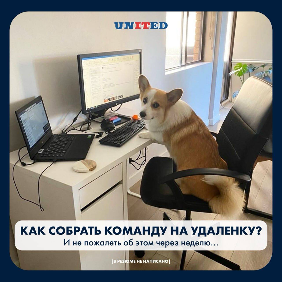 Как собрать команду на удаленку? | Сетка — социальная сеть от hh.ru