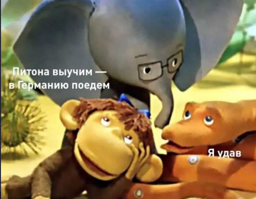 Emigration fault successfully 😅 | Сетка — социальная сеть от hh.ru