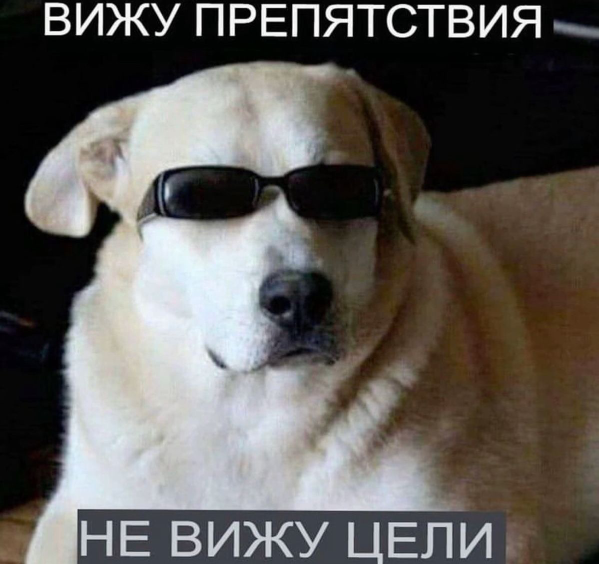 🔥 BATNA: Секретный клуб переговоров | Сетка — социальная сеть от hh.ru